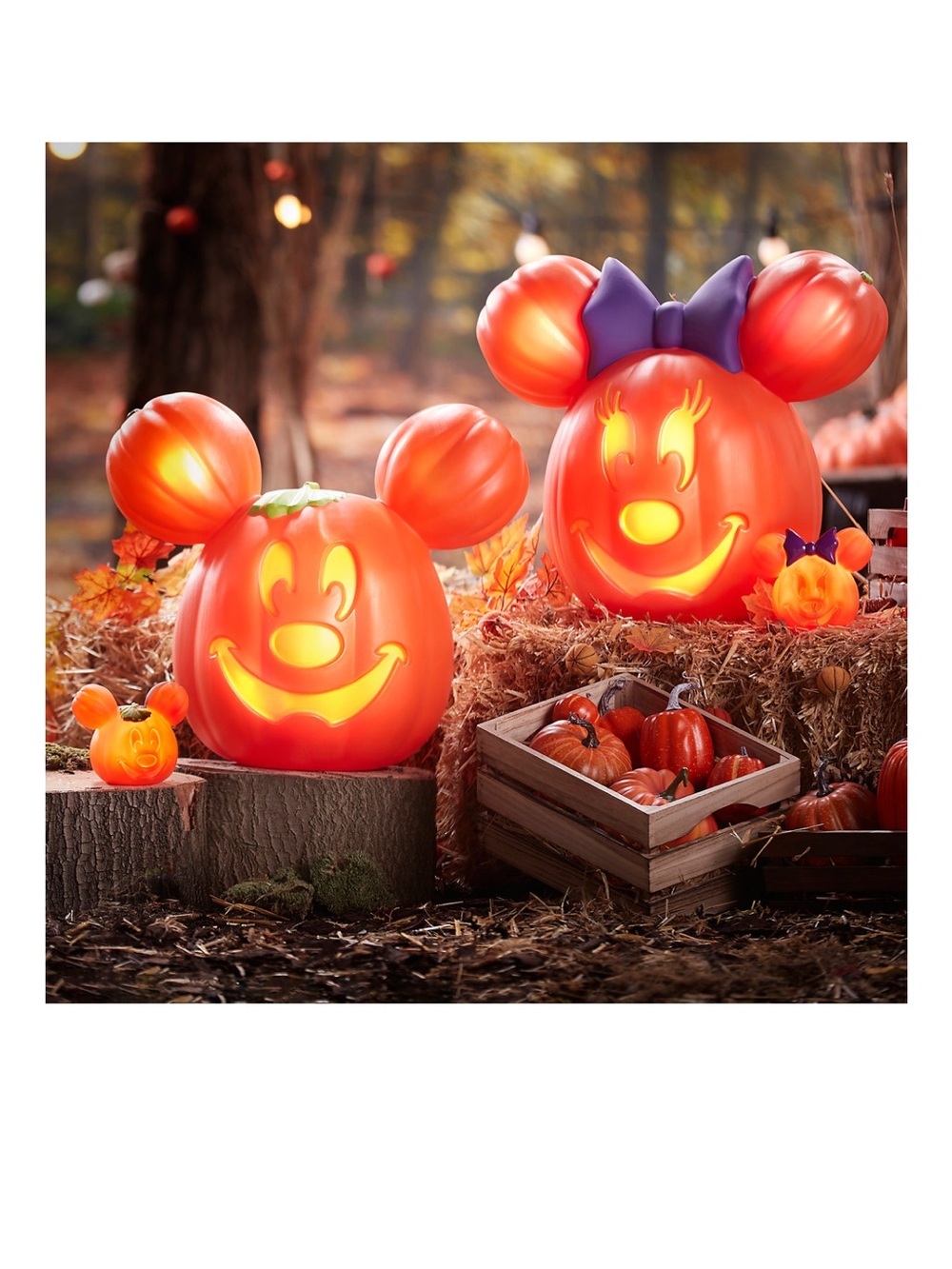 2024 Disney Minnie Mouse Jack O Lantern Halloween